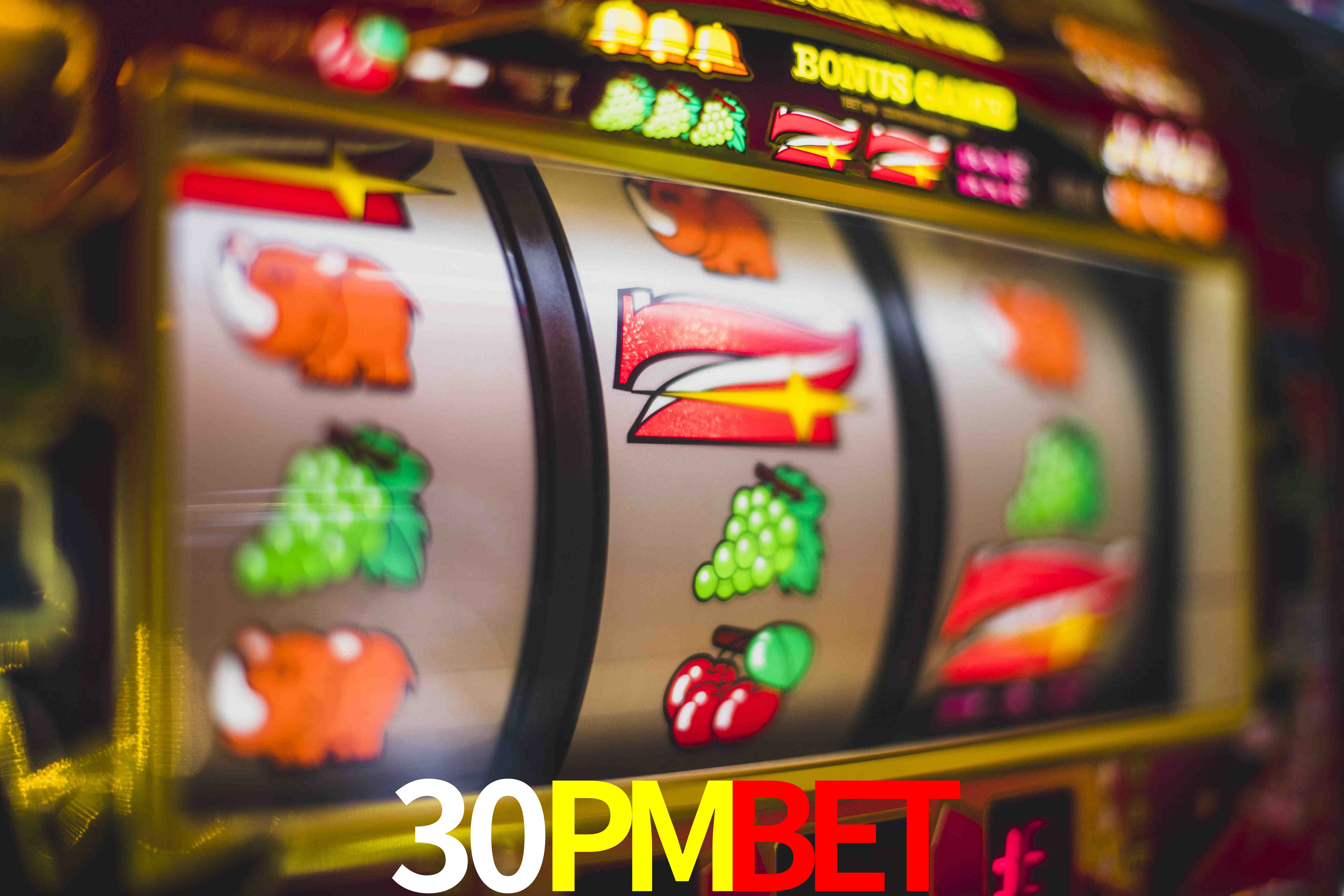 Roulette Table 30PMBET
